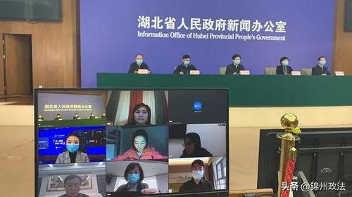 辽宁援沪爆料视频大全下载,视频大全背后的感人瞬间  第1张